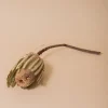 Banksia Natural Flower Stem