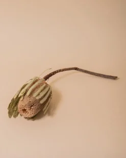 Banksia Natural Flower Stem