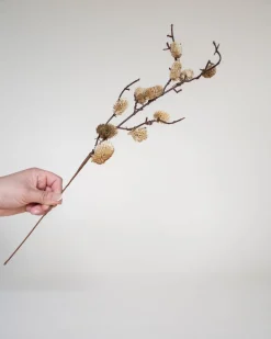 Botanical Sage - Sweet Water Decor