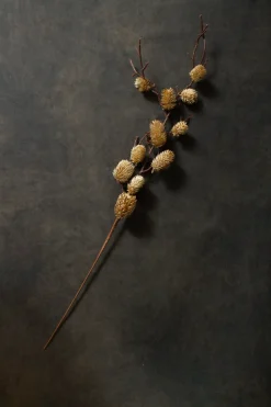 Botanical Sage - Sweet Water Decor