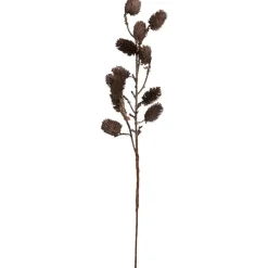 Botanical Sage Flower Stem