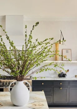 Branch with Green Buds