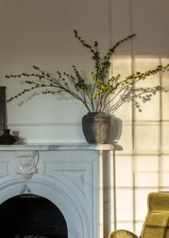 Branch with Green Buds