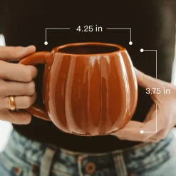 Brown Pumpkin 19 oz Mug