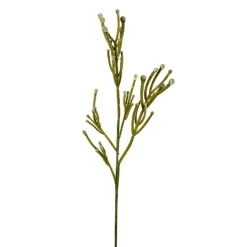 Cactus Spray - Sweet Water Decor