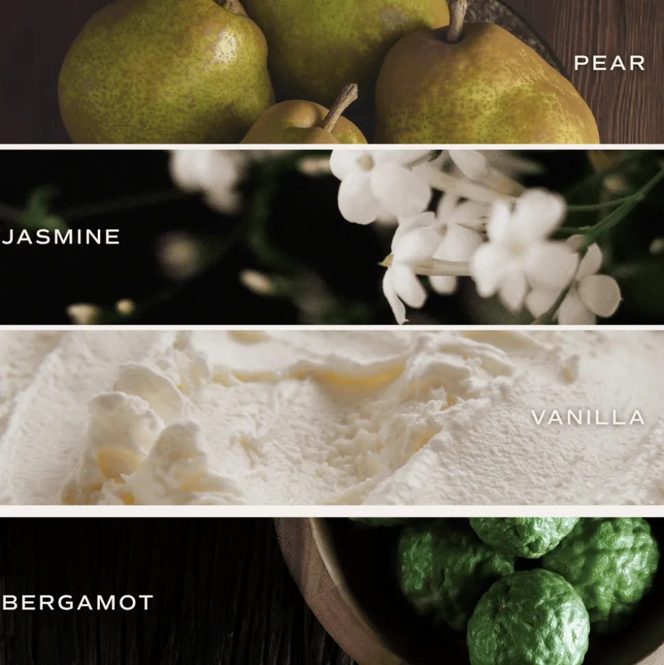 Cashmere and Vanilla - 9 oz