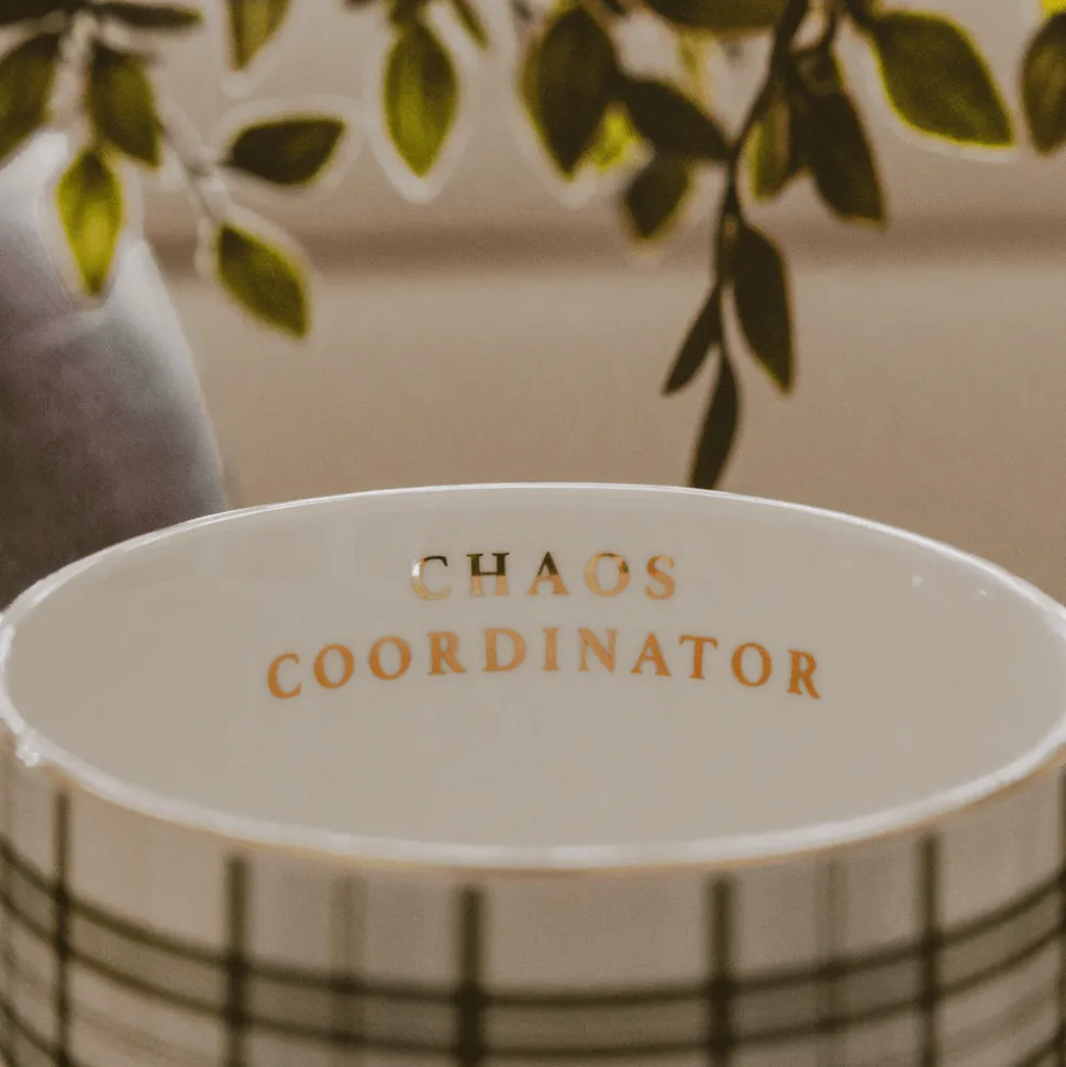 Chaos Coordinator 14 oz Mug