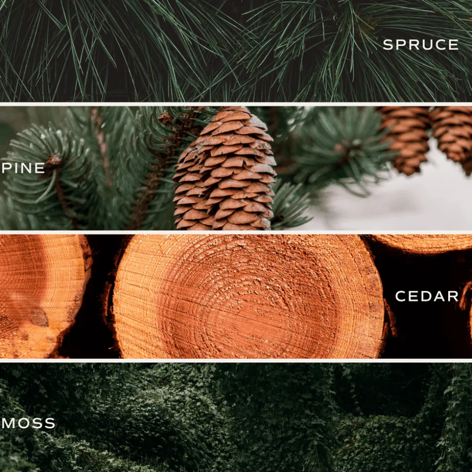 Christmas Tree Farm - 15 oz