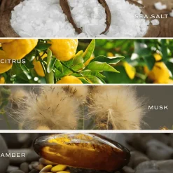 Dream Forward - 9 oz