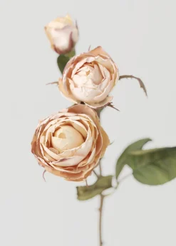 Dried Look Fake Roses in Beige