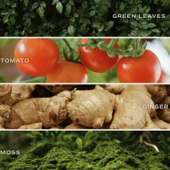 Farmer's Market - 15 oz