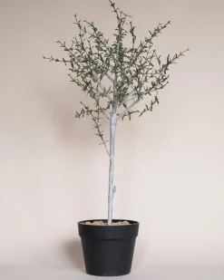 Faux Thyme Topiary in Pot