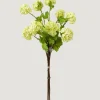 Honeydew Green Snowball Flower Bundle