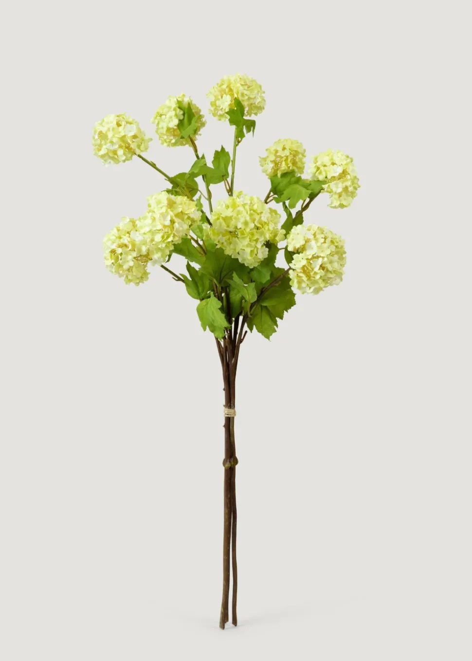 Honeydew Green Snowball Flower Bundle