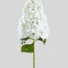 Large Cone Hydrangea Flower in White