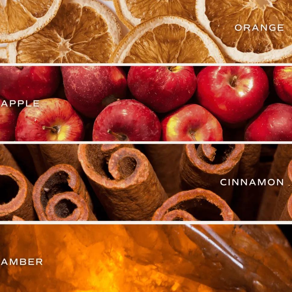 Mulled Cider - 11 oz