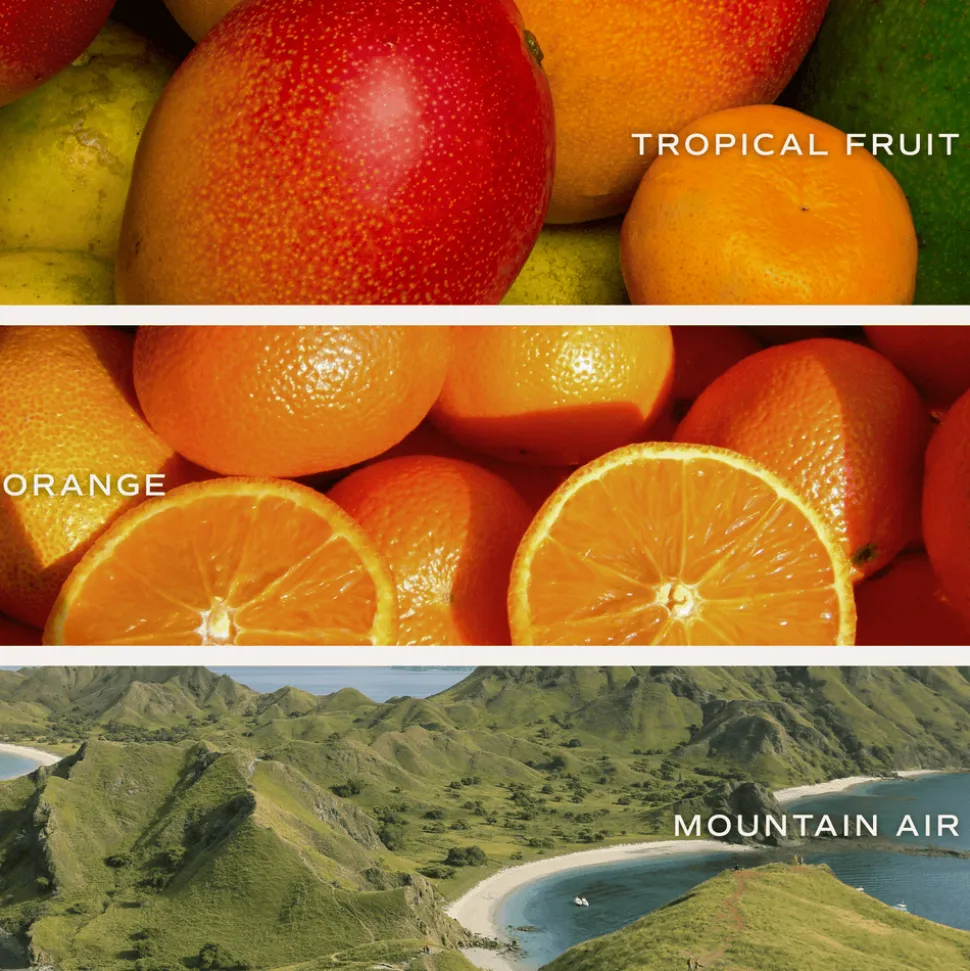 OMG! You're Engaged! - 9 oz