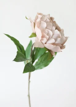 Peony Flower in Taupe Mauve