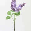 Purple Lilac Flower Stem