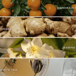 White Tea and Jasmine